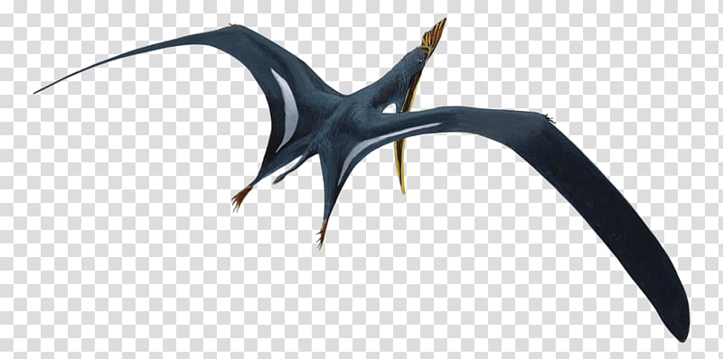 Sinopterus Dawndraco Tethydraco Geosternbergia Jiufotang Formation, pterosaur toys transparent background PNG clipart