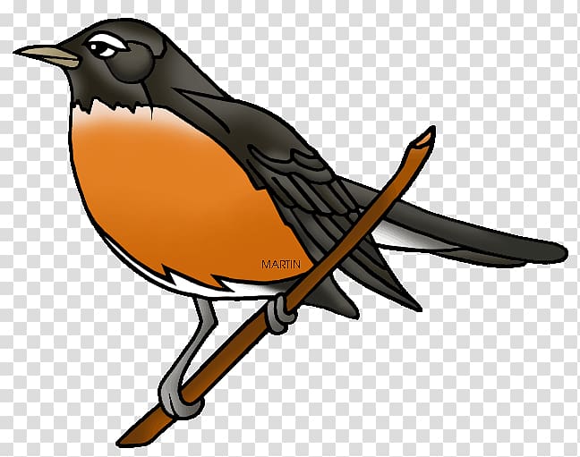 European robin American robin YouTube , robin transparent background PNG clipart