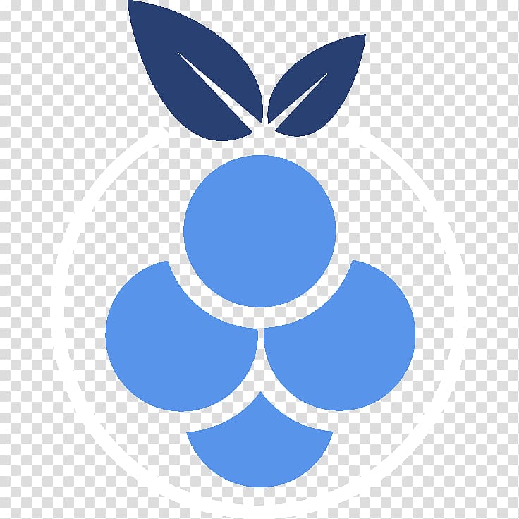 Raspberry Pi Fedora Logo Raspbian Computer, raspberry logo transparent background PNG clipart