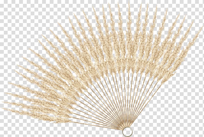 Hand fan Creativity, others transparent background PNG clipart