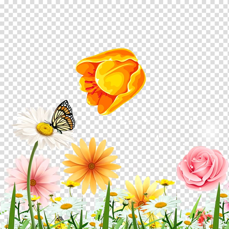 Butterfly Flower, Floral background transparent background PNG clipart