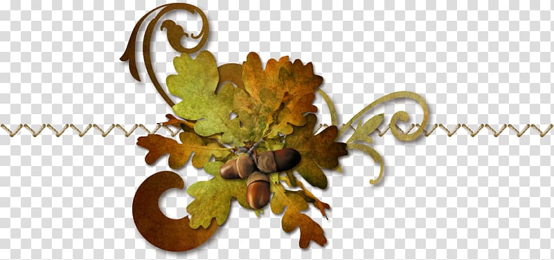 Leaf Auglis, Rope foliage transparent background PNG clipart