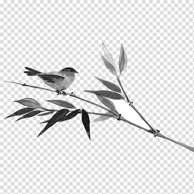 Ink bamboo bird transparent background PNG clipart