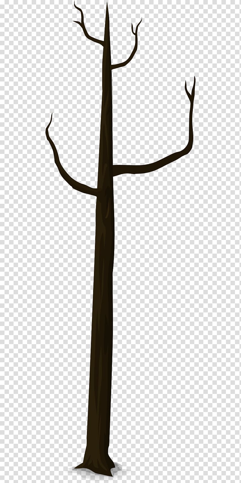 Tree Branch Trunk, dead tree transparent background PNG clipart