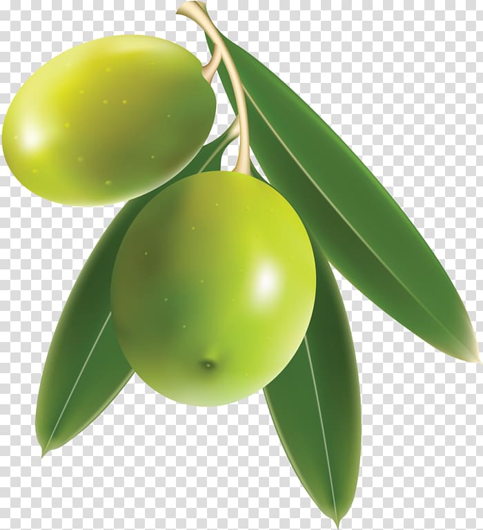 Olive oil Food, green olives transparent background PNG clipart