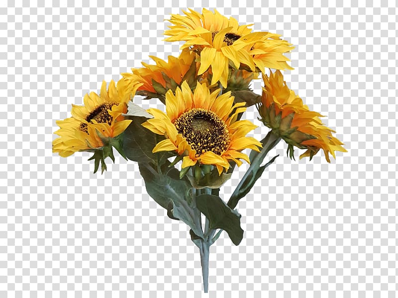 Common sunflower Cut flowers Artificial flower Flower bouquet, sunflower leaf transparent background PNG clipart