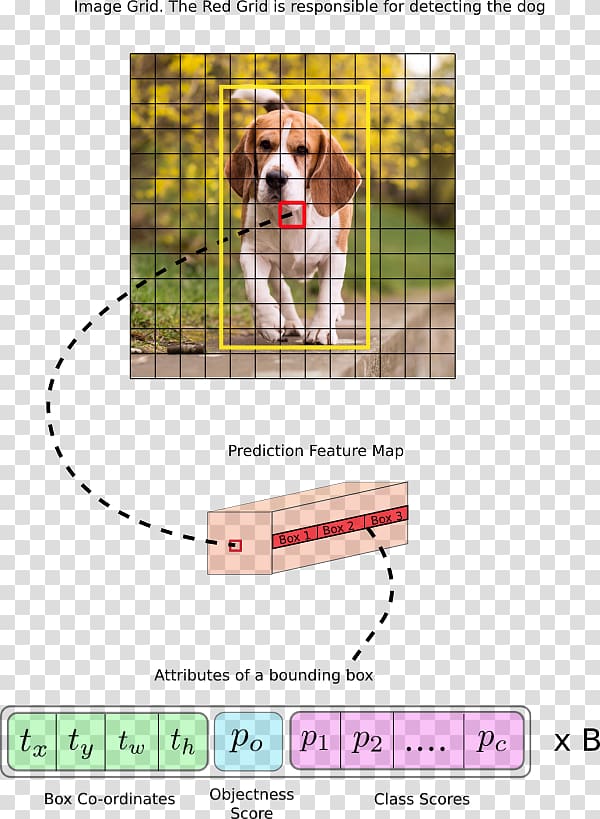 Object detection Algorithm Deep learning Implementation PyTorch, red bounding box transparent background PNG clipart