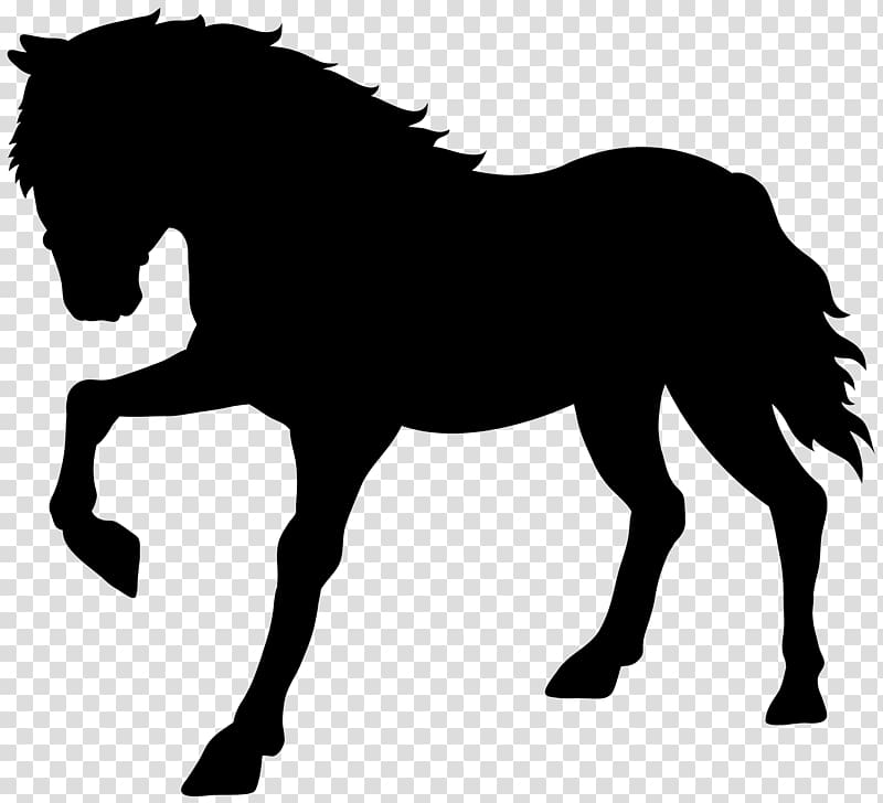 Horse , Horse Silhouette transparent background PNG clipart