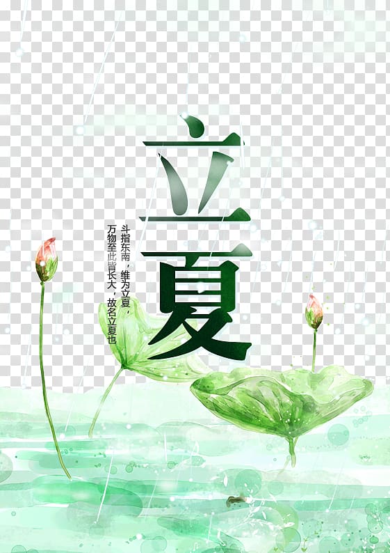 Lixia Solar term Sentence, Beginning of summer solar terms lotus material transparent background PNG clipart