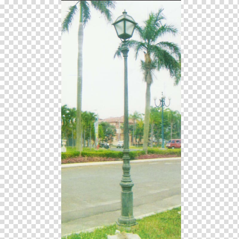 Street light Utility pole Lamp Asian palmyra palm, street light transparent background PNG clipart