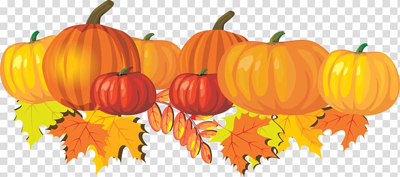 Pumpkin pie Autumn Snickerdoodle , Mums transparent background PNG clipart