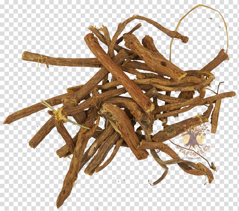 Liquorice Root Herbaceous plant Ingredient, Glycyrrhiza transparent background PNG clipart