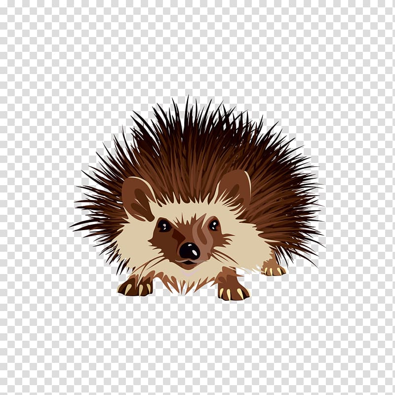 Hedgehog Tiger Lion, Hedgehog transparent background PNG clipart