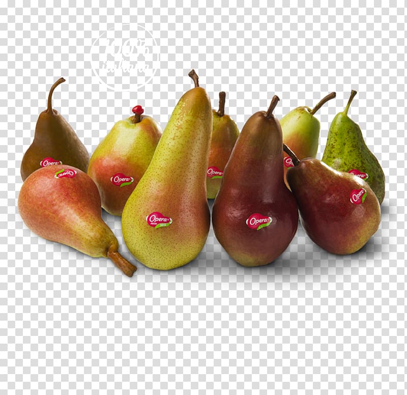 Pear Abate Fetel Accessory fruit Auglis, pear transparent background PNG clipart