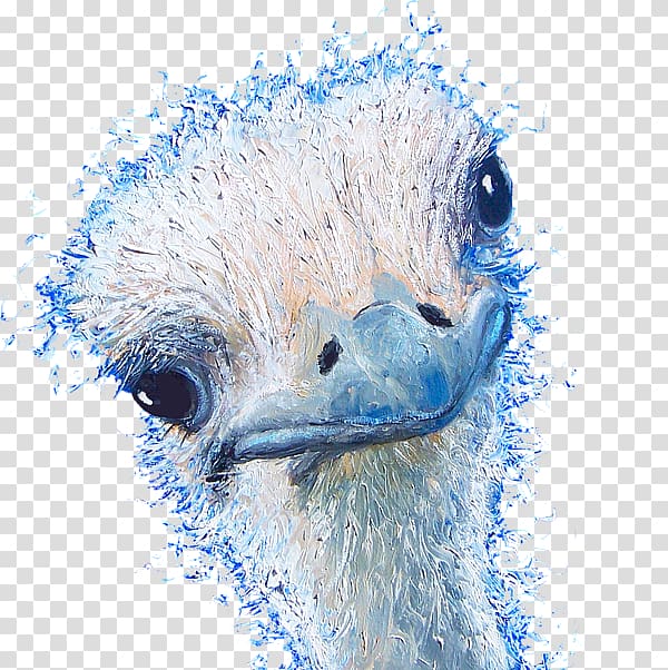 Beak Flightless bird Ratite Feather, emu transparent background PNG clipart