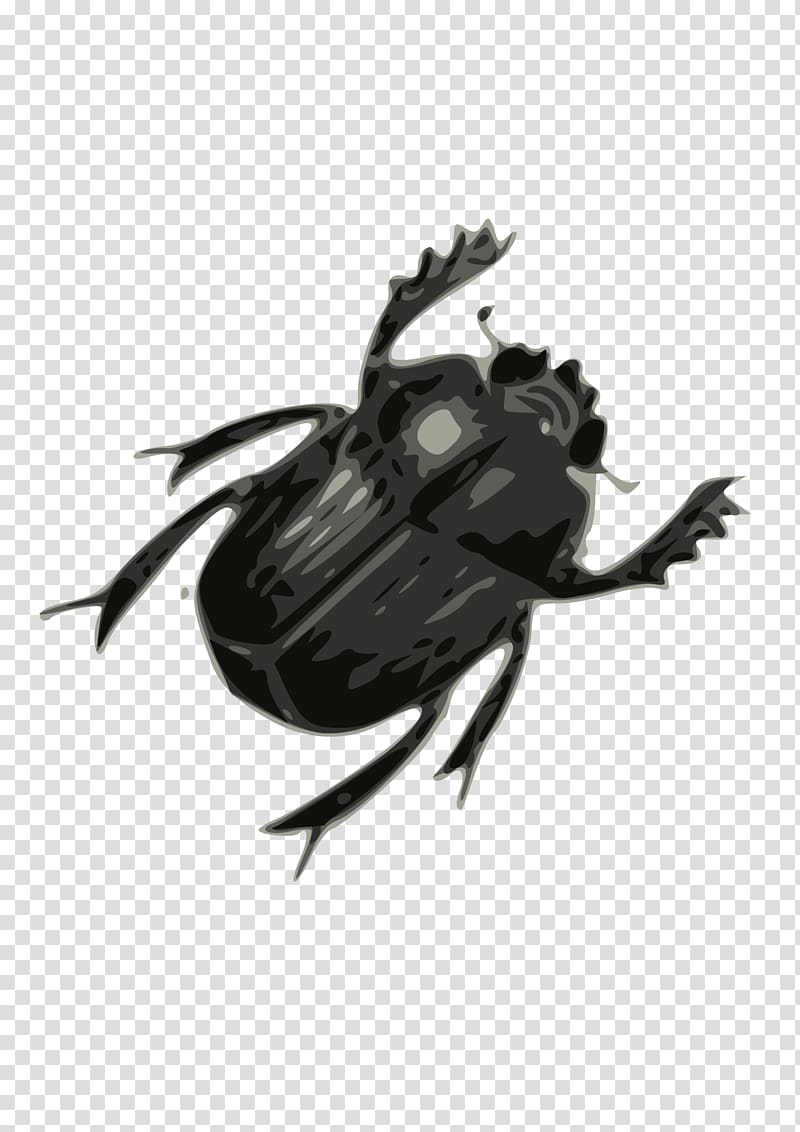 Beetle , Bug transparent background PNG clipart