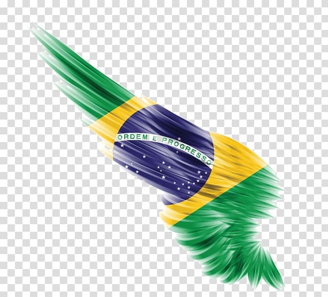 flag of Brazil, Brazilian Carnival Carnival in Rio de Janeiro Dance Tumbao, Brazilian flag feather transparent background PNG clipart