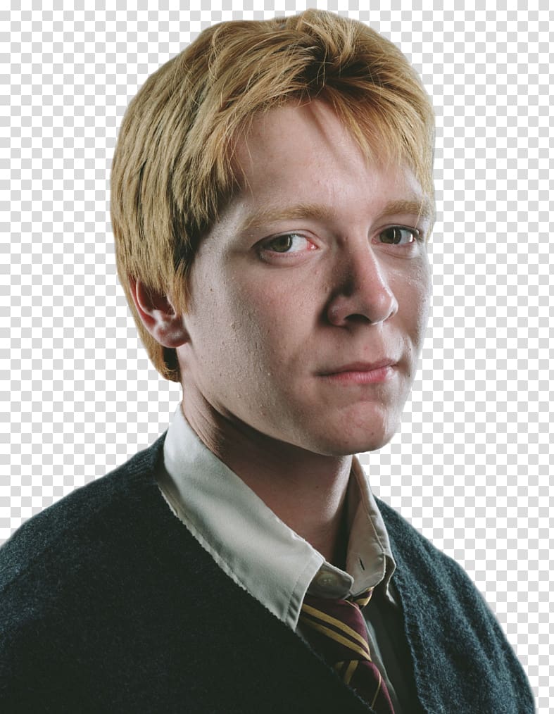 Harry Potter George Weasley Ginny Weasley Ron Weasley Hermione Granger, ron weasley transparent background PNG clipart