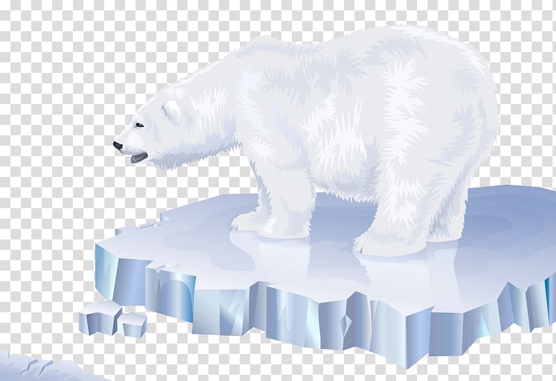 Polar bear Arctic North Pole Los osos polares, polar bear transparent background PNG clipart