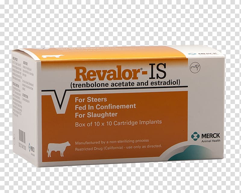 Beef cattle Calf Anabolic steroid Animal slaughter Feedlot, Intervet Inc transparent background PNG clipart