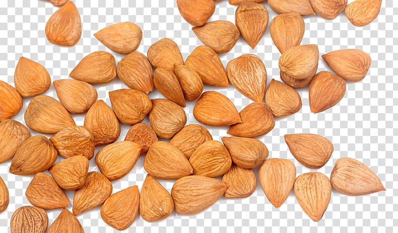 Hazelnut Almond Apricot, And spilled almonds transparent background PNG clipart