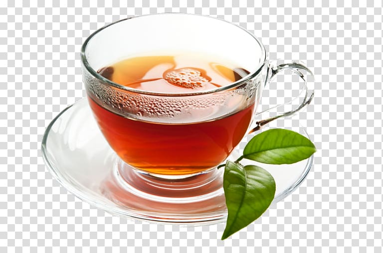 Green tea Bubble tea Mate Assam tea, tea transparent background PNG clipart
