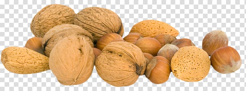 Walnut transparent background PNG clipart