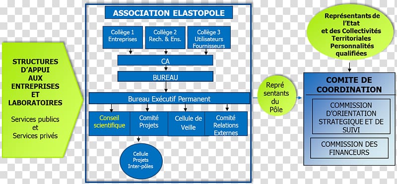 Organization Association Elastopole Public administration business cluster in France Executive Branch, Fxe9dxe9ration Internationale De Lautomobile transparent background PNG clipart