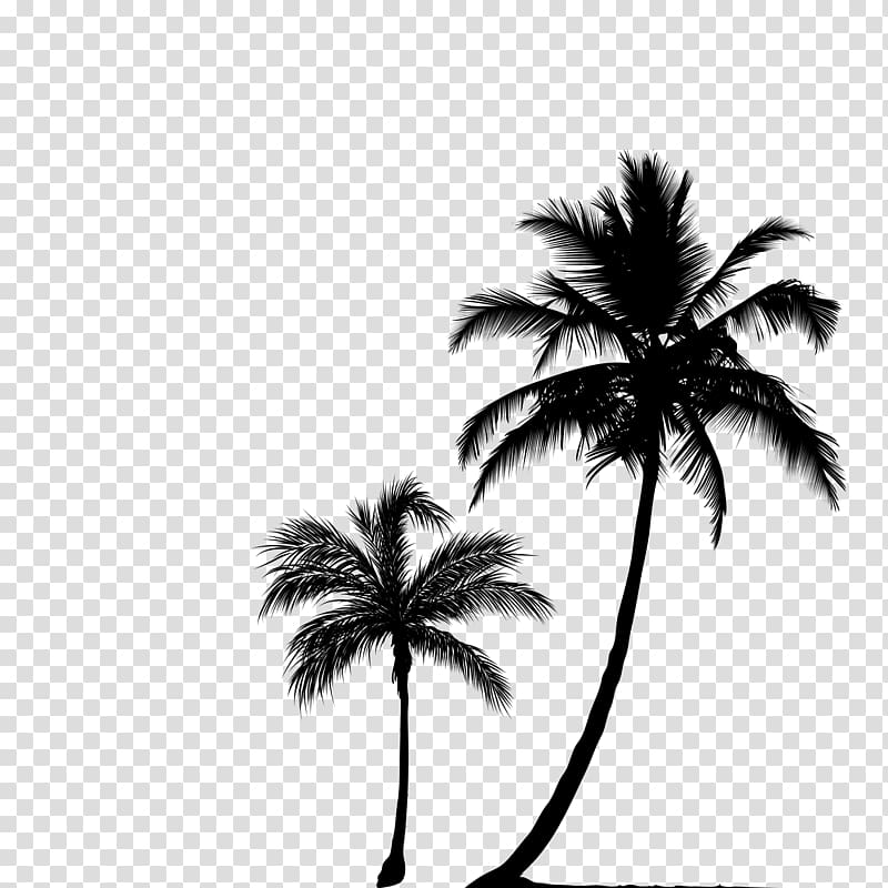 Arecaceae Tree Silhouette , forest transparent background PNG clipart