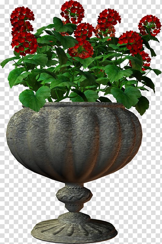 Flower Vase Houseplant Garden roses, flower transparent background PNG clipart