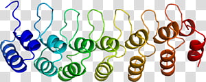 Organism , design transparent background PNG clipart thumbnail