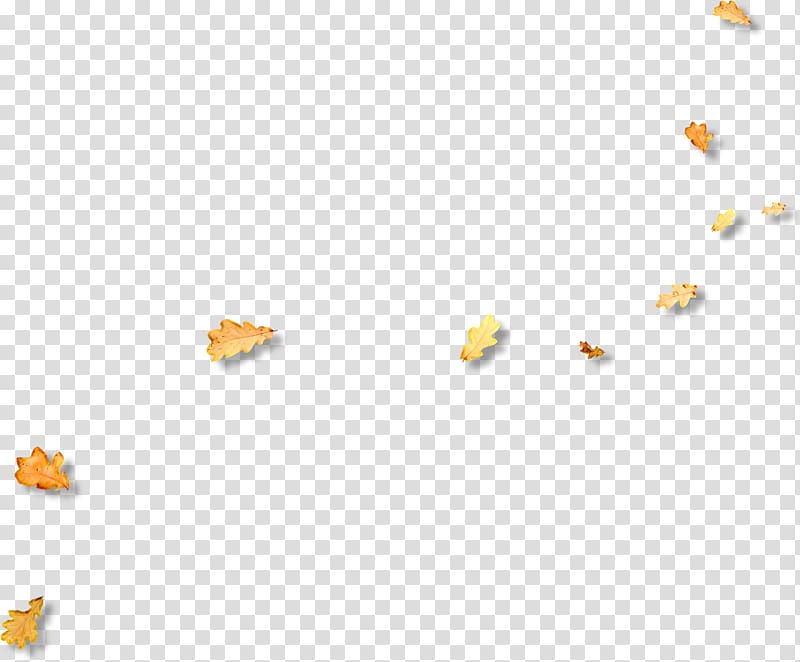 Yellow Angle Pattern, Falling yellow leaves transparent background PNG clipart