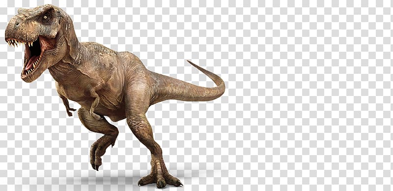 Tyrannosaurus Velociraptor Jurassic Park: The Game Triceratops, jurassic park transparent background PNG clipart
