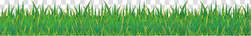 cute grass elements transparent background PNG clipart
