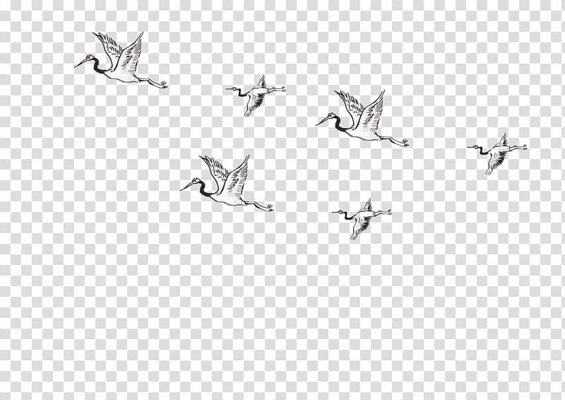 Hummingbird Flight, bird transparent background PNG clipart