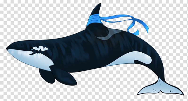 Rough-toothed dolphin Killer whale YouTube, youtube transparent background PNG clipart