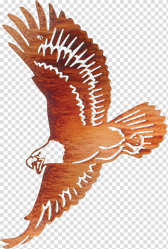 Bald Eagle Wall decal Metal, eagle transparent background PNG clipart