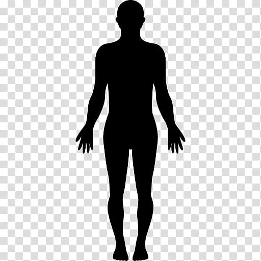 https://p7.hiclipart.com/preview/410/408/932/human-body-homo-sapiens-silhouette-clip-art-human.jpg
