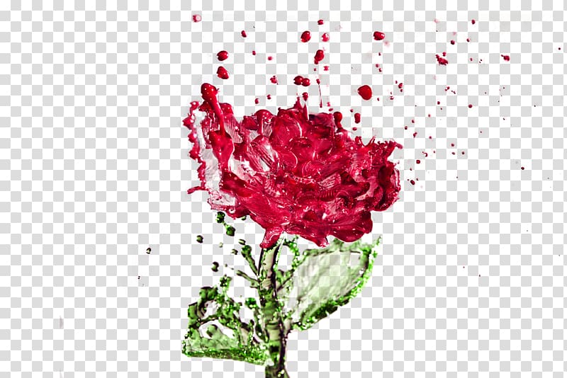 Distilled water Rose water Drop, Creative Watermark Rose transparent background PNG clipart