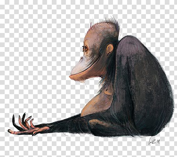 Ape Orangutan Cartoon Illustration, orangutan transparent background PNG clipart