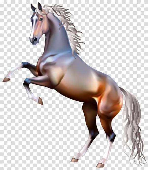 Arabian horse American Paint Horse Mustang Rearing White, mustang transparent background PNG clipart