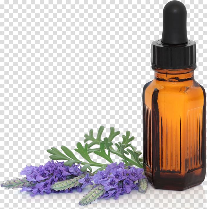 clear glass bottle, Essential oil Aromatherapy Carrier oil Lavender oil, essential oil transparent background PNG clipart