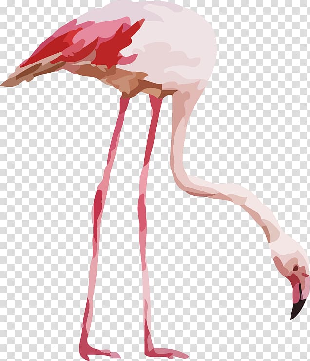pink flamingo illustration, Flamingo Watercolor painting Illustration, Watercolor painted background Flamingo transparent background PNG clipart