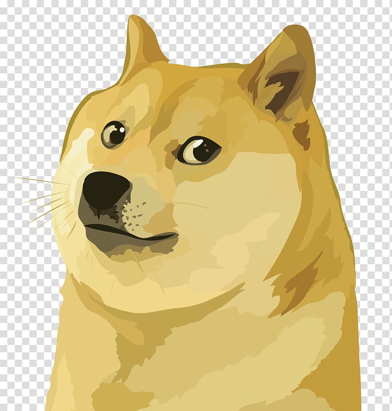 Shiba Inu Dogecoin Jamaica National Bobsled Team Cryptocurrency, doge transparent background PNG clipart
