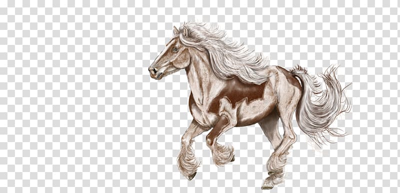 Mustang Shetland pony American Paint Horse Stallion, watercolor horse transparent background PNG clipart