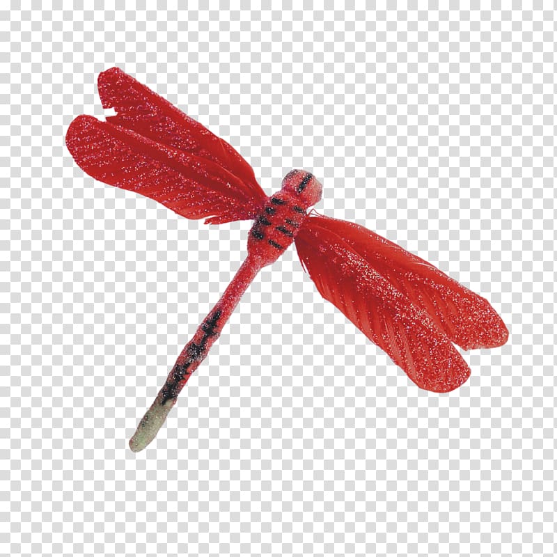 Red Dragonfly Icon, Red Dragonfly transparent background PNG clipart