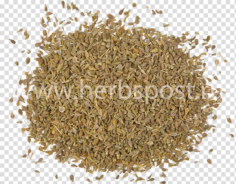 Spice Herb Star anise Seed, anis transparent background PNG clipart