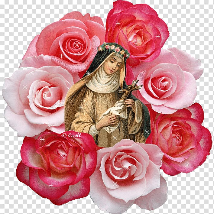 Rose Calendar of saints Santa Rosa Catholicism, rose transparent background PNG clipart
