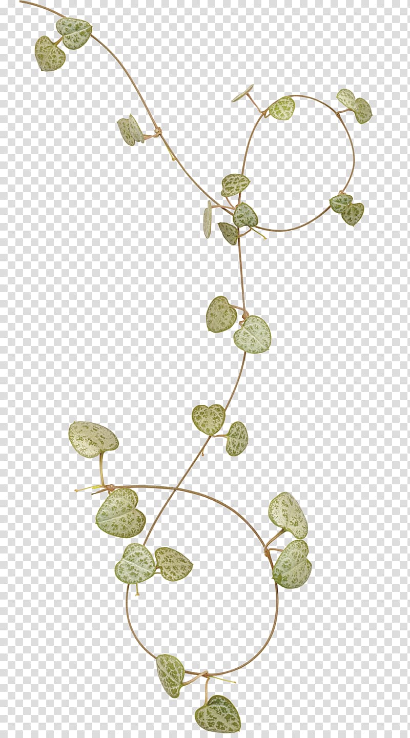 frame Leaf , Leaves ring transparent background PNG clipart