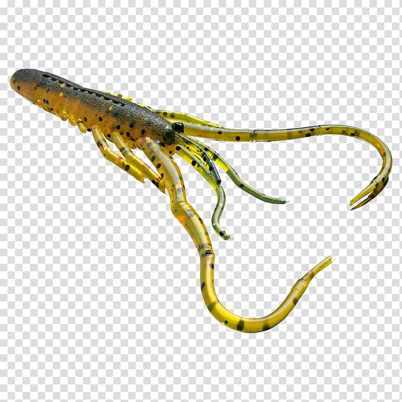 Daiwa Italy S.r.l. Fishing Baits & Lures Plug, shrimp transparent background PNG clipart